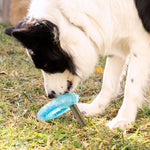 Jouet à Mordre 2 en 1 Congelable pour Animaux de Compagnie Glubiz InnovaGoods