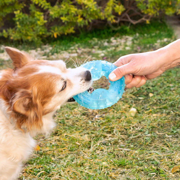 2-in-1 Freezable Pet Chew Toy Glubiz InnovaGoods