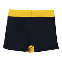 Boys Swim Shorts Harry Potter Multicolour