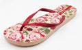 Ipanema Tropical VIII Fem Tg. 41 Pink/Burgundy