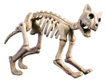 Skeleton Cat Halloween Decoration Prop