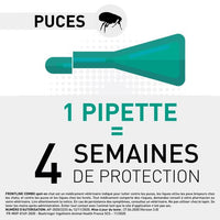 Frontline Combo Chats et Furets 3 pipettes