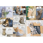 Puzzle N 1500 p - Betises de chat