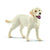 SCHLEICH - Figurine Promenade avec labrador retriever