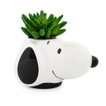 Peanuts Snoopy Face Ceramic Mini Planter with Artificial Succulent § 3.5"L x 5" H x 5" W