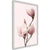 Poster - Blooming Magnolias III