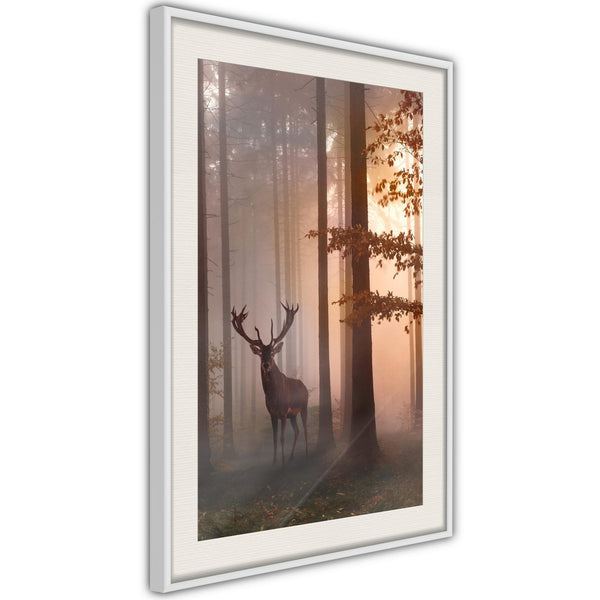 Poster - Forest Seclusion