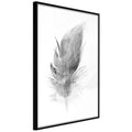 Poster - Lost Feather (Grey)