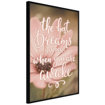 Poster - The Best Dreams