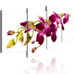 Canvas Print - Orchid's glow