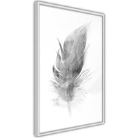 Poster - Lost Feather (Grey)