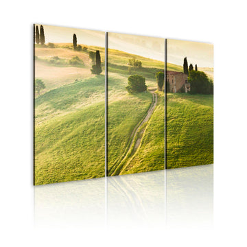 Canvas Print - Under the Tuscan Sun