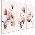 Canvas Print - Spring Magnolias (3 Parts)