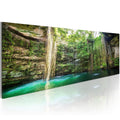 Canvas Print - Hidden Treasure of the Nature