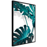 Poster - Turquoise Monstera II