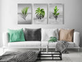 Canvas Print - Plants (Collection)