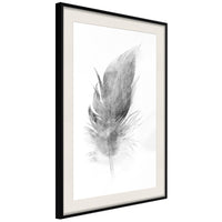 Poster - Lost Feather (Grey)