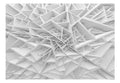 Self-adhesive Wallpaper - White Spider's Web