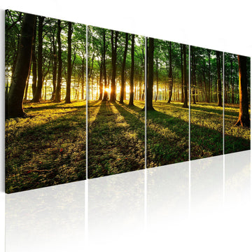 Canvas Print - Shade of Trees I