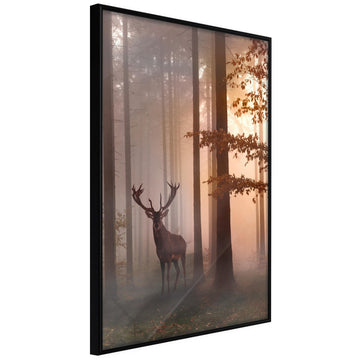 Poster - Forest Seclusion