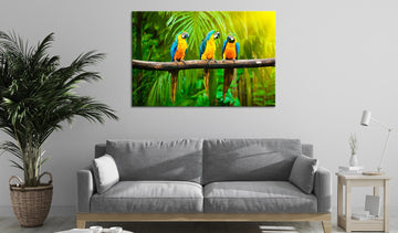 Canvas Print - Parrot Trio (1 Part) Wide