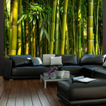 Wallpaper - Asian bamboo forest