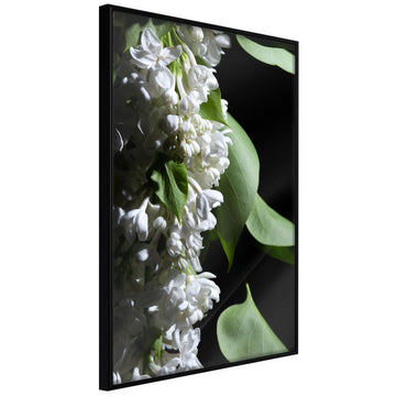 Poster - Fragrant Spring