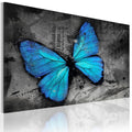 Canvas Print - The study of butterfly