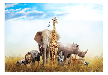 Wallpaper - Fauna of Africa