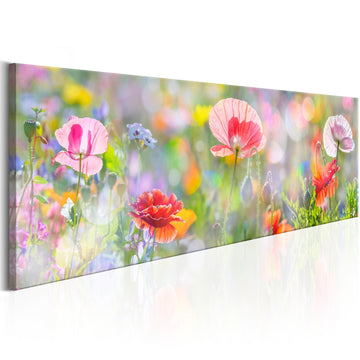 Canvas Print - Rainbow of Morning Poppies