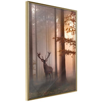 Poster - Forest Seclusion