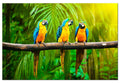 Canvas Print - Parrot Trio (1 Part) Wide