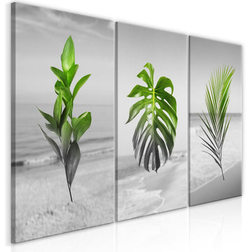 Canvas Print - Plants (Collection)