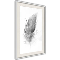 Poster - Lost Feather (Grey)