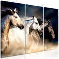 Canvas Print - Sons of the Wind (3 Parts)