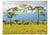 Wallpaper - Savanna trees