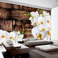 Wallpaper - Blooming orchids