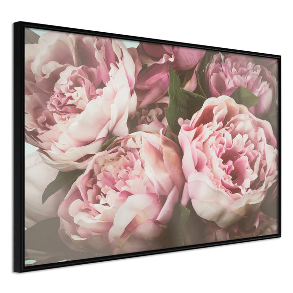 Poster - Pastel Peonies