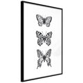 Poster - Butterfly Collection III