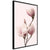 Poster - Blooming Magnolias III