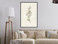 Poster - Beige Campanula