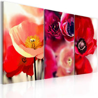 Canvas Print - Poppies - three perspectives