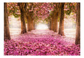 Wallpaper - Pink grove