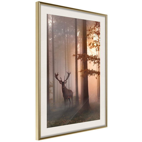 Poster - Forest Seclusion