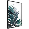 Poster - Evergreen Palm Leaves