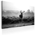 Canvas Print - Deer in the Wild