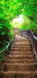 Photo wallpaper on the door - Photo wallpaper – Stairs from nature I