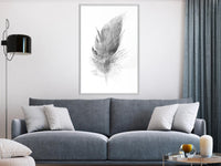 Poster - Lost Feather (Grey)