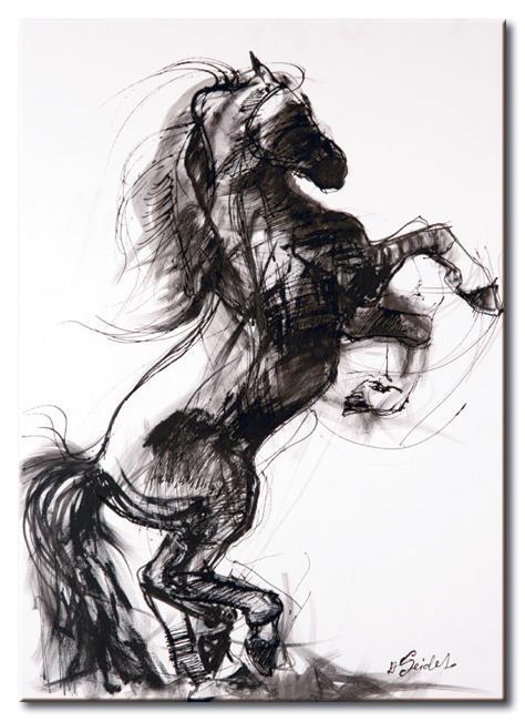 Canvas Print - Gallop III