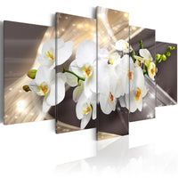 Canvas Print - Golden Sash